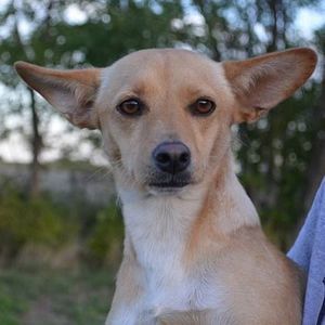 Meet your Posher, Keith